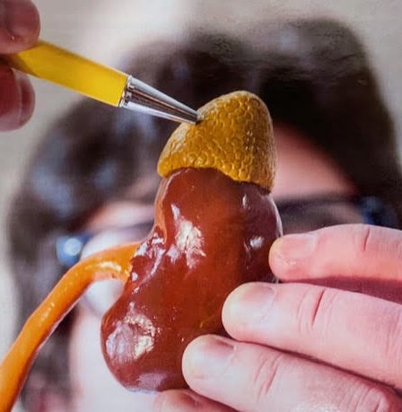 hand holding a gland